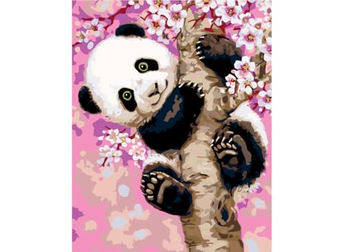 painteree DIY set | Malen nach Zahlen erwachsene | süßer Baby-Panda (40x50 cm) | Eingerahmt auf einem Holzrahmen mit Pinsel und Acrylfarben Set von painteree