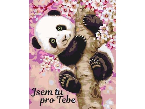 painteree DIY set | Malen nach Zahlen erwachsene | süßer Baby-Panda (40x50 cm) | Leinwand ohne Rahmen mit Pinsel und Acrylfarben Set von painteree