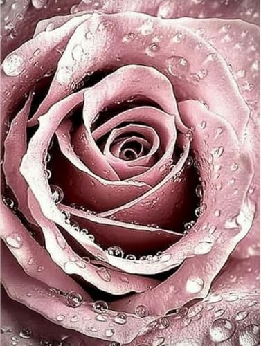 pigpigboss Rosa Rose Diamond Painting Kit 5D Full Diamond Painting nach Zahlen - Blume Diamant Malerei Punkte Kit Rose Malerei Kunst Handwerk Home Decor Geschenk für Erwachsene (11,8 x 15,7 Zoll) von pigpigboss