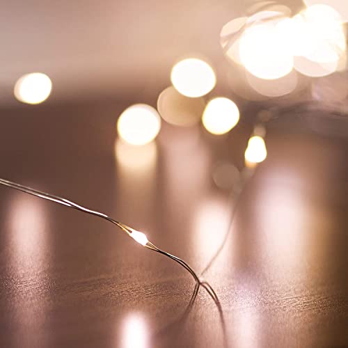 20 Micro LED Lichterkette mit Timer Funktion Batteriebetrieb mit AA-Batterie | Draht Lichterkette frei in Form biegbar von pille gartenwelt