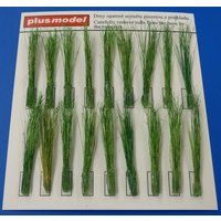 Tufts of reeds-green von plusmodel