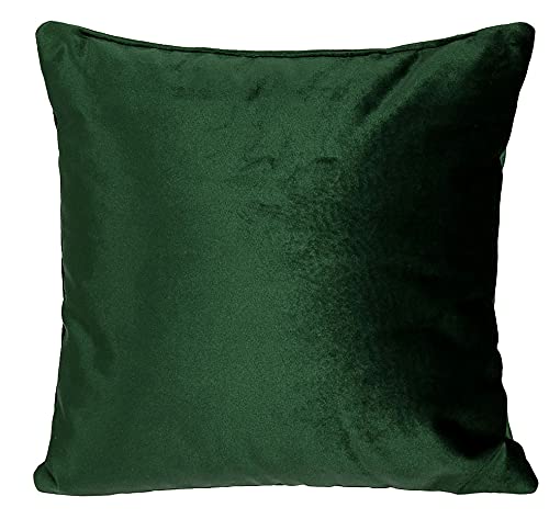 postergaleria Sofa Kissen 40 x 40 cm, mit grün – Dekokissen mit Velours-Polsterstoff mit weicher Füllung – zur Dekoration im Wohnzimmer, Schlafzimmer, Büro, Home Deko von postergaleria