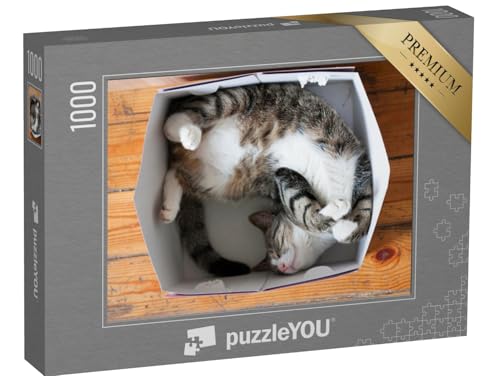 puzzleYOU: Puzzle 1000 Teile „Gestreifte schlafende Katze, Pappschachtel als Bett“ – aus der Puzzle-Kollektion Katzen-Puzzles von puzzleYOU