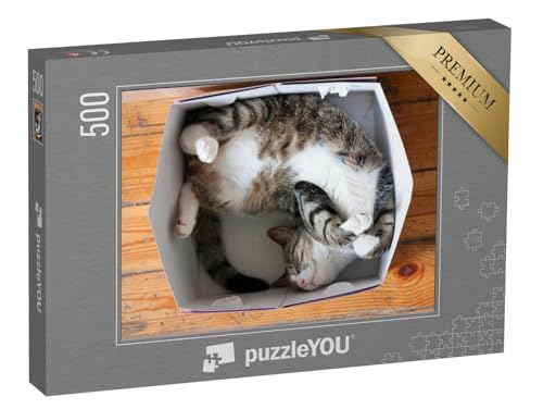 puzzleYOU: Puzzle 500 Teile „Gestreifte schlafende Katze, Pappschachtel als Bett“ – aus der Puzzle-Kollektion Katzen-Puzzles von puzzleYOU