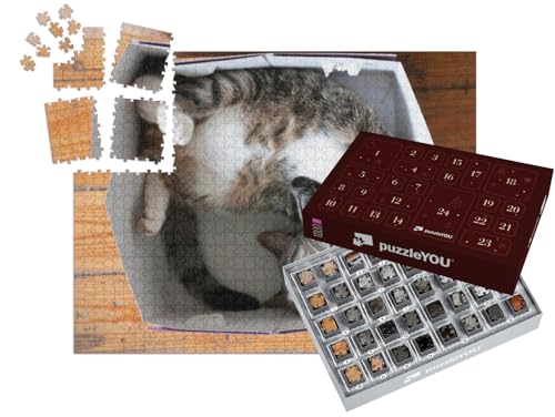 puzzleYOU: Puzzle-Adventskalender | „Gestreifte schlafende Katze, Pappschachtel als Bett“ – aus der Puzzle-Kollektion Katzen-Puzzles von puzzleYOU