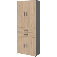 röhr Aktenschrank direct.office, 859H671000 hickory, anthrazit 3 Fachböden 80,0 x 33,5 x 212,5 cm von röhr