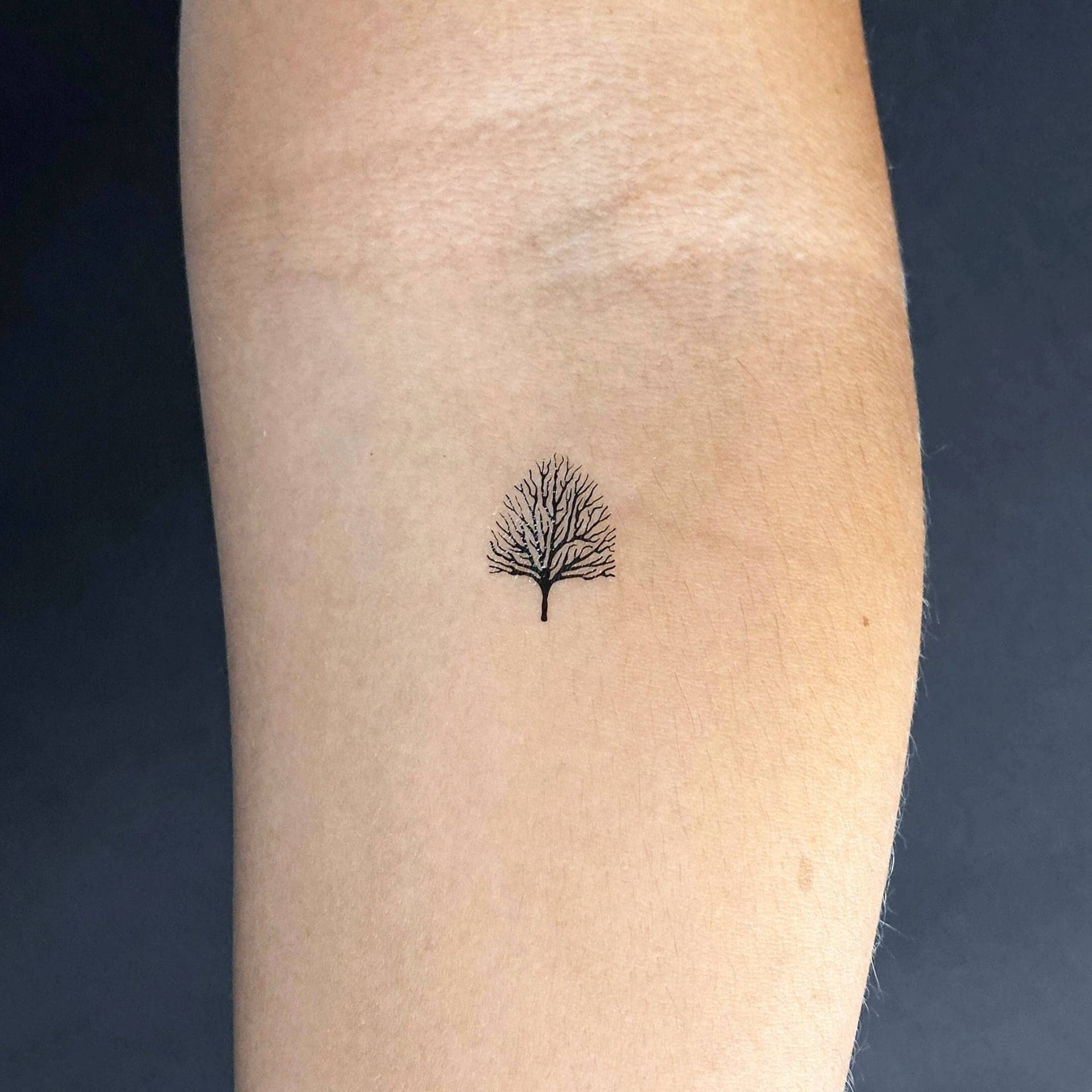 Laubloser Baum Temporäres Tattoo | 3Er Set von smalltattoos