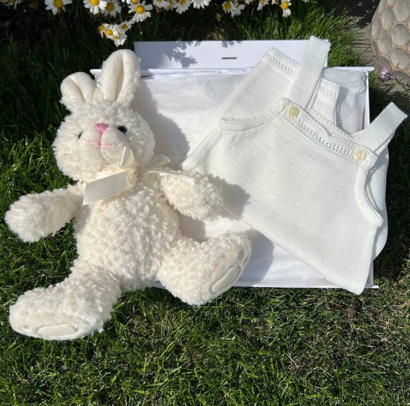 Neue Baby Geschenk Kleidung Korb, Bunny Shower Set, Willkommen Zu Hause Geschenk, Mädchen Neugeborene von thebababee