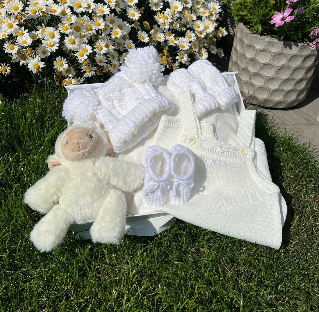 Neugeborenen Baby Geschenk, Baby-Dusche-Geschenk-Set, Willkommen Zu Hause Korb, Lamm Mädchen Neugeborene von thebababee