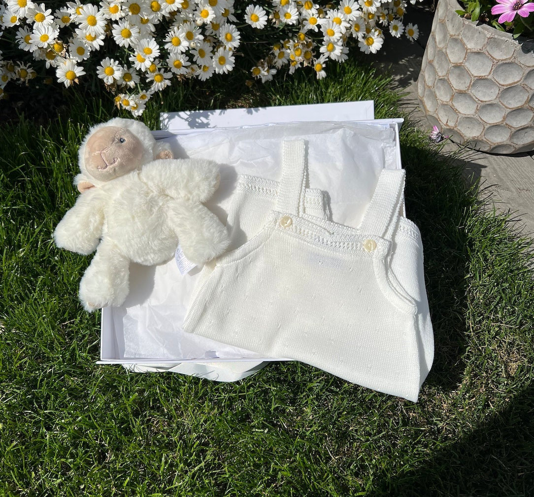 Neugeborenen Baby Geschenk, Baby-Dusche-Geschenk-Set, Willkommen Zu Hause Korb, Lamm Mädchen Neugeborene von thebababee