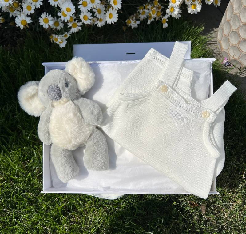 Neugeborenen Pointelle Baby Geschenk Outfit, Shower Set, Willkommen Zuhause Korb, Koala Geschenk, Mädchen Neugeborene von thebababee