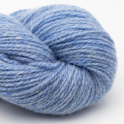 Biowolle zum Stricken und Häkeln | BC Garn Semilla Melange GOTS Wolle | 50 g Bio Wolle Strang | organic wool Streichgarn (09 hellblau) von theofeel