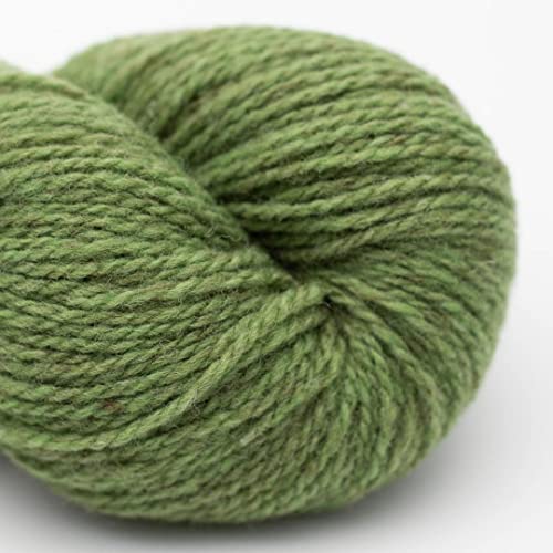 Biowolle zum Stricken und Häkeln | BC Garn Semilla Melange GOTS Wolle | 50 g Bio Wolle Strang | organic wool Streichgarn (17 apfel) von theofeel