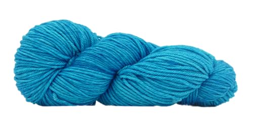 Malabrigo Rios | handgefärbte Wolle Stränge Merino 100g | mulesingfreie Merinowolle mit Farbverlauf cyan türkis zum Stricken und Häkeln (Cian) von theofeel