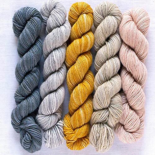 Manos del Uruguay Silk Blend Fino Minis Set Ursula, 100g (5x20g) Wolle mit Seide zum Stricken, Merino extrafine + Seide, handgefärbt mit wunderschönem Farbverlauf von theofeel