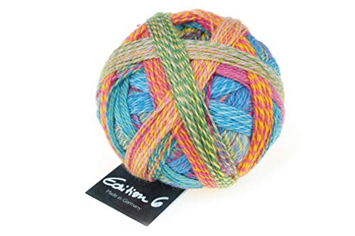 Schoppel Zauberball Edition 6 Farbe 2296 Englischer Garten | 100% Wolle | Merinowolle fine für Nadelstärke 2-3 mm, 50g von theofeel