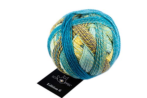 Schoppel Zauberball Edition 6 Farbe 2401 Teils Heiter | 100% Wolle | Merinowolle fine für Nadelstärke 2-3 mm, 50g von theofeel