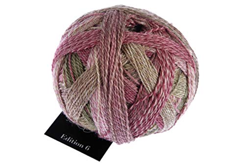 Schoppel Zauberball Edition 6 Farbe 2442 Holzklasse | 100% Wolle | Merinowolle fine für Nadelstärke 2-3 mm, 50g von theofeel