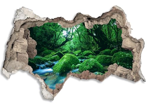 3D Wandtattoo selbstklebend Wanddurchbruch | Loch in der Wand Mauerloch | Wetterfeste Wandsticker Gross Innen und Outdoor | 120x80cm Wald Moos Bach von timalo