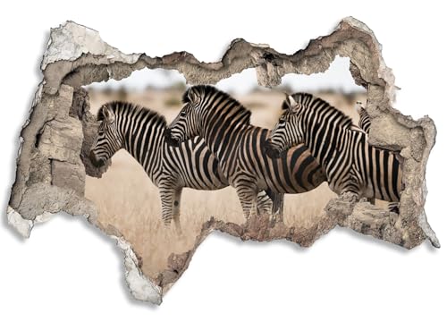 3D Wandtattoo selbstklebend Wanddurchbruch | Loch in der Wand Mauerloch | Wetterfeste Wandsticker Gross Innen und Outdoor | 150x100cm Afrika Zebras von timalo