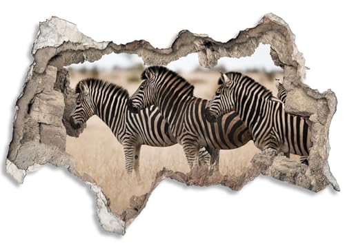 3D Wandtattoo selbstklebend Wanddurchbruch | Loch in der Wand Mauerloch | Wetterfeste Wandsticker Gross Innen und Outdoor | 90x60cm Afrika Zebras von timalo