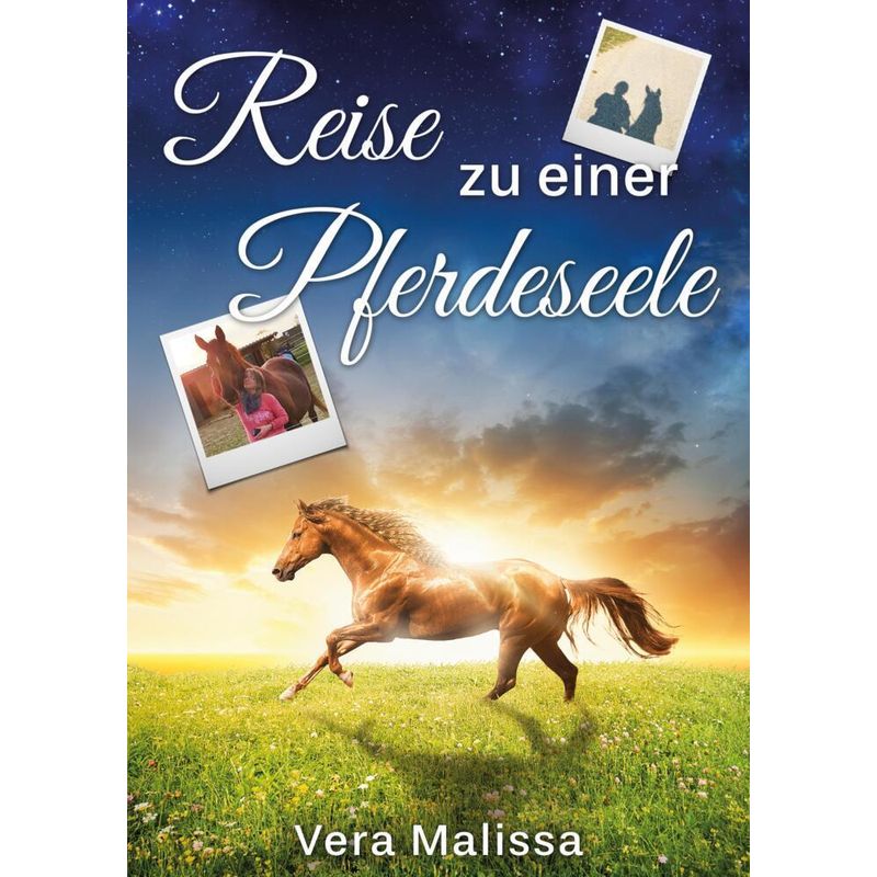Reise Zu Einer Pferdeseele - Vera Malissa, Kartoniert (TB) von tredition