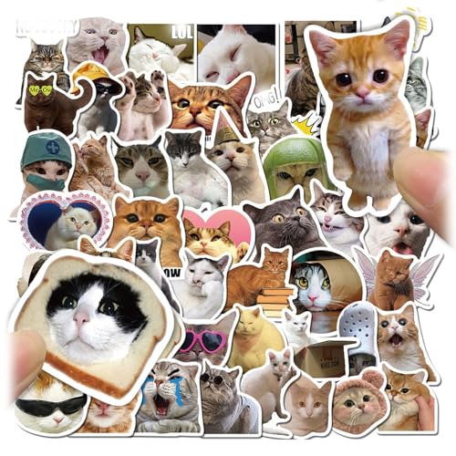 Katzen Sticker,50 Stück Meme Sticker,Lustige Aufkleber,Sticker Meme,Katzensticker,Cute Stickers,Aufkleber Katze,Wasserfeste Vinyl Sticker Katzen für Skateboard Laptop Telefon Notebook Fahrrad(4-6cm) von vcsjw