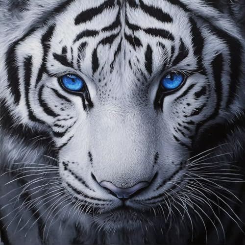 Diamond Painting Erwachsene WeißEr Tiger, Diamant Painting Tier Bilder 5D DIY Diamant Bastelset Erwachsene Anfänger, Geeignet Als Geschenk und Wohnzimmer Schlafzimmer Wand Dekoration 35x35 cm V-15 von wcusmmog