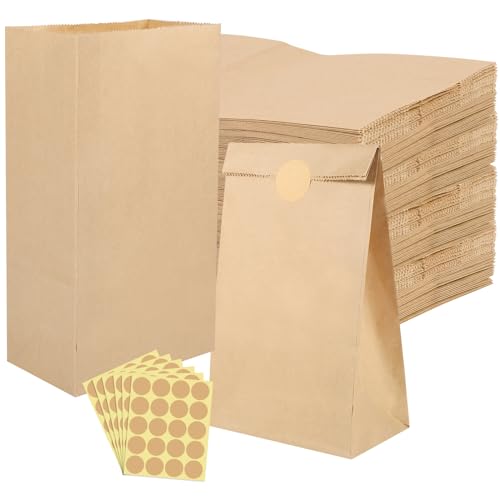 120 Stück Papiertüten Braun, 24x13x8cm Geschenktüten Klein Kraftpapiertüten Mitgebseltüten DIY Adventskalender 2024 Tüten zum Befüllen für Weihnachtsgeschenke von woric