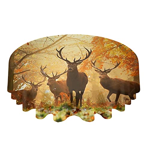 Tischdecke 152cm Hirsche Im Baum-Sonnenuntergang-Herbst Wachstuch Abwaschbar Wachstischdecke Rund Tischtuch Für Indoor Picknick Jubiläum von wuhanshiruikewanshangmaoyouxiangongsi