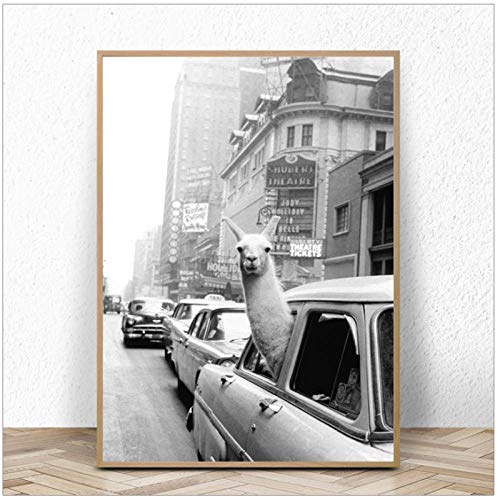 wymhzp Lama im Taxi New York City Wandkunst Leinwand Malerei Schwarz Weiß Poster Und Drucke Tier Wandbilder Für Wohnzimmer Wohnkultur 50x70cm Kein Rahmen von wymhzp