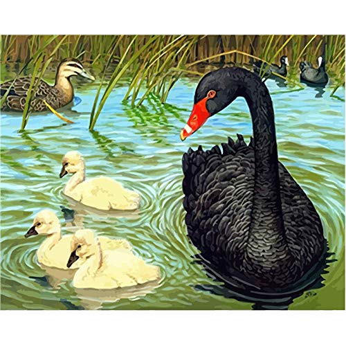 xuxut Malen Nach Zahlen DIY 40X50 50X65Cm Schwarzer Schwan Im Teich Tier Leinwand Hochzeitsdekoration Kunst Bild Geschenk-40X50Cm_No_Frame von xuxut