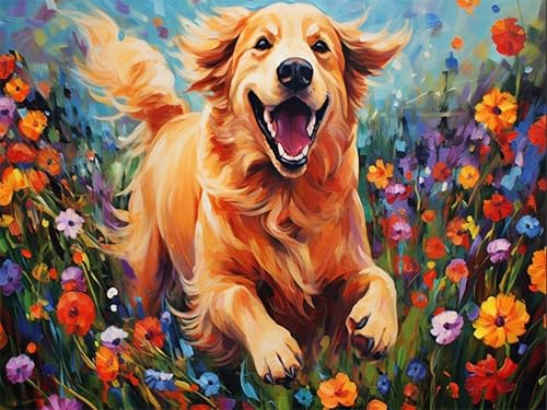 Diamond Painting Erwachsene Set Hund,Diamant Painting Bilder Erwachsene Hund,Diy Tiere Diamont Painting als Zuhause Wanddekoration und Geschenk(30x40 cm) von yiwushichaoermaoyiyouxiangongsi