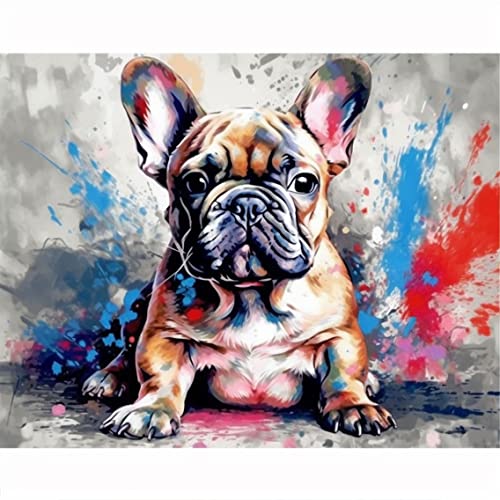 znwrr Malen-nach-Zahlen-Set für Erwachsene, französische Bulldogge, farbiger Hund (STY39), gemaltes DIY-Ölgemälde, Geschenk mit Pinseln und Acrylfarben, Heimdekoration, 40 x 50 cm von znwrr